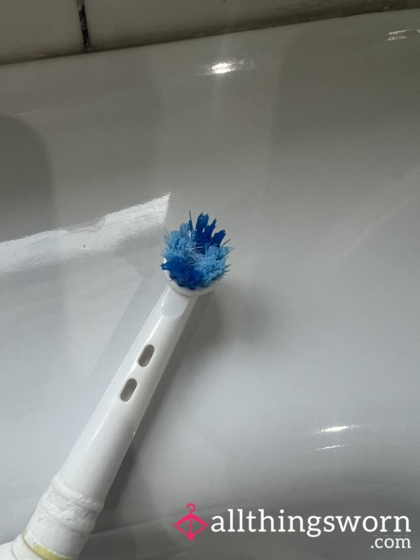 Toothbrush Head