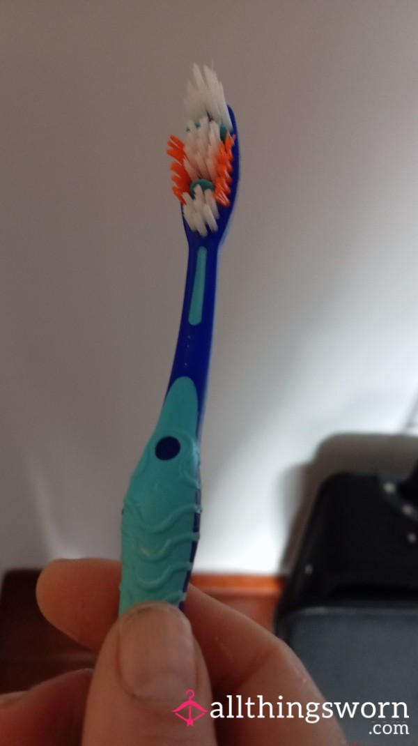 Toothbrush Used For 6 Months