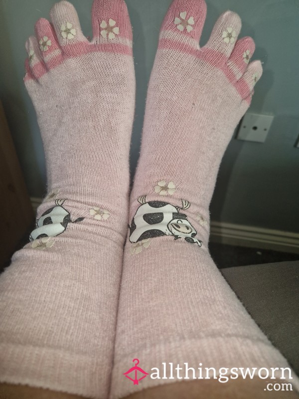 Tootsie Pink Cow