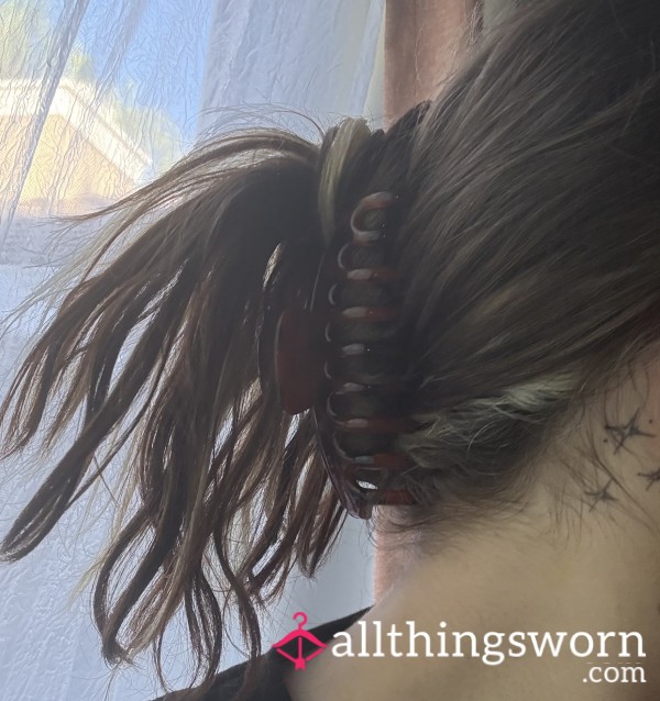 Tortoise Shell Claw Clip