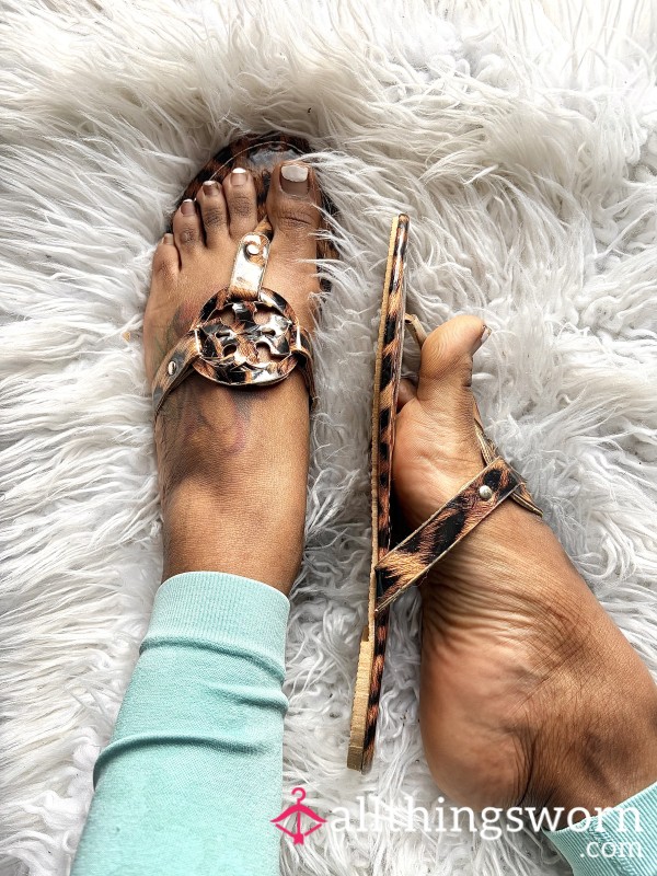 Tory Burch Miller Printed Patent Sandals In A Leopard Print