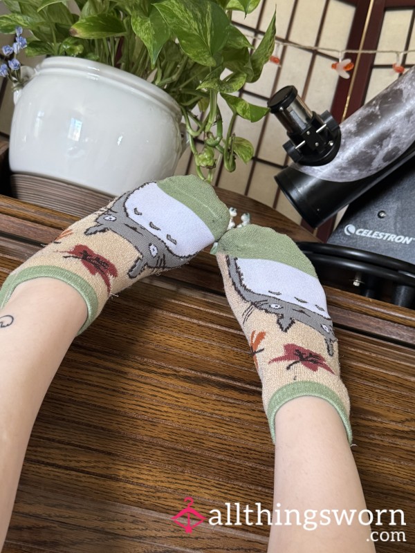 Totoro Socks