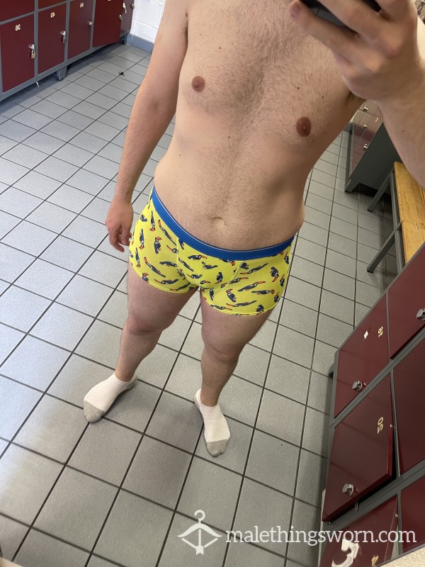 Toucan Boxers