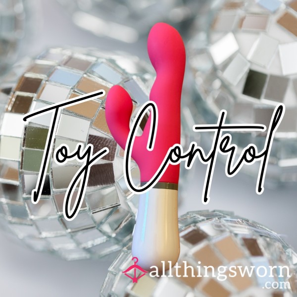 Toy Control