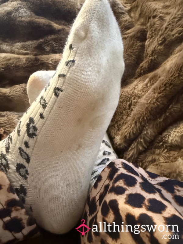 Trainer Socks 1 Day Active Wear