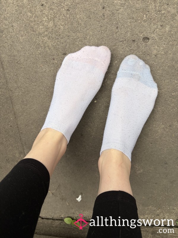 Trainer Socks