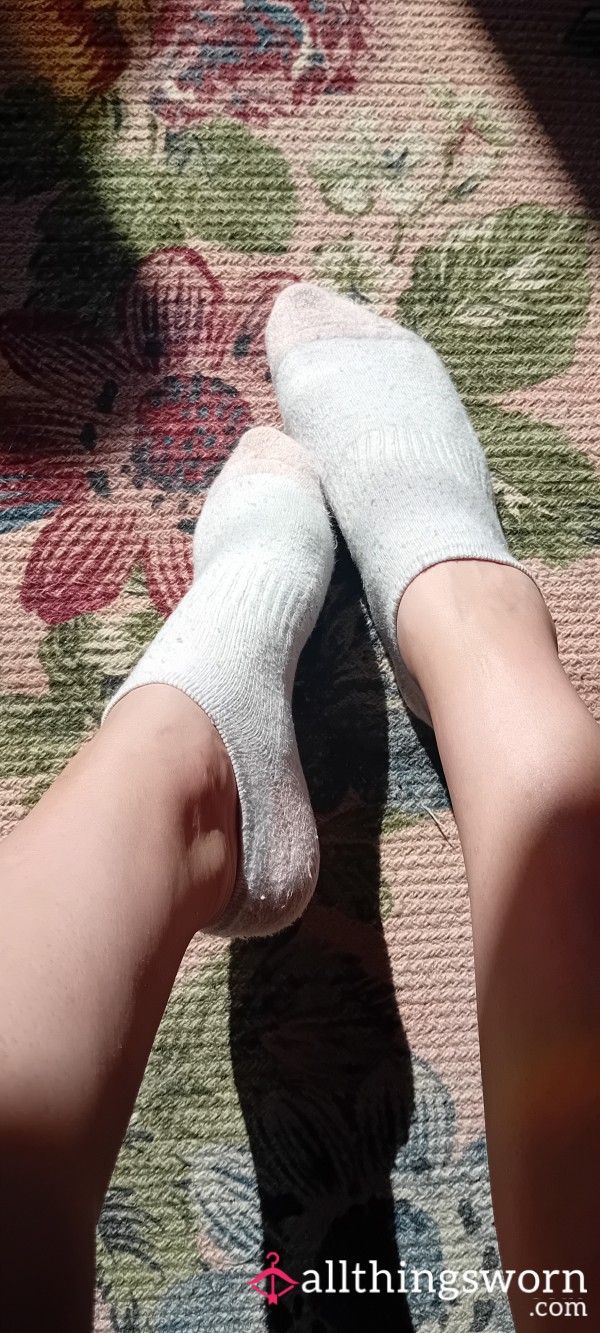 Trainer Socks