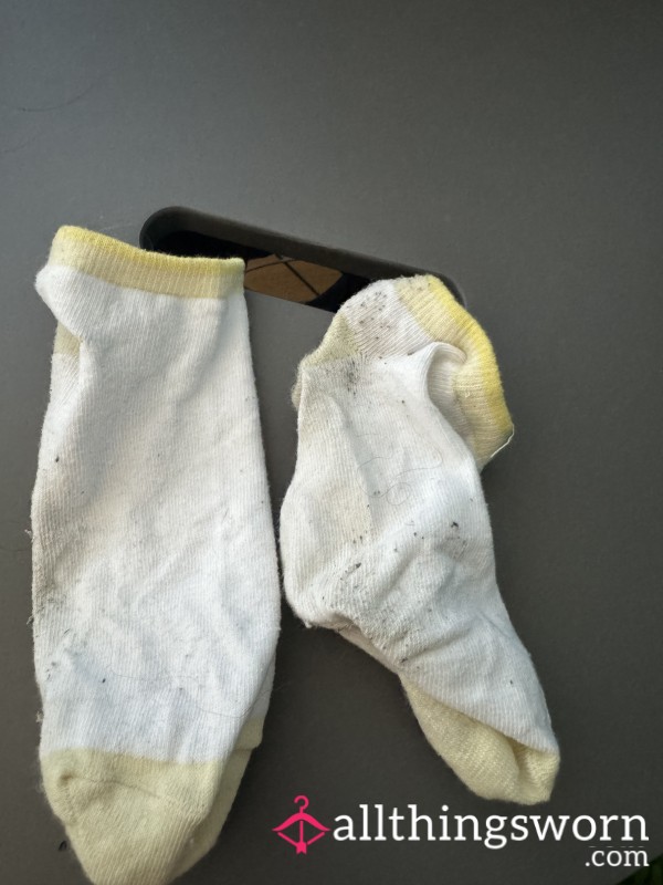 Trainer Socks