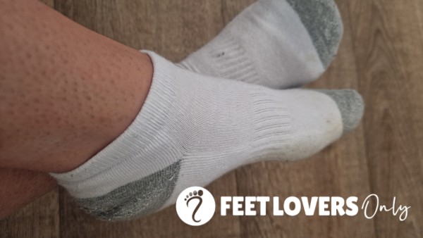 Trainer Socks