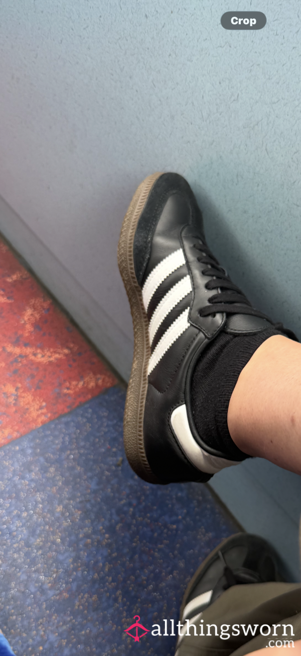 Trainer Socks