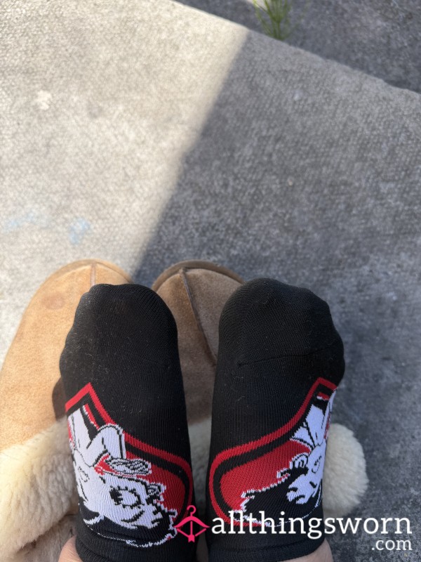 Trainer Socks Standard 24h Wear
