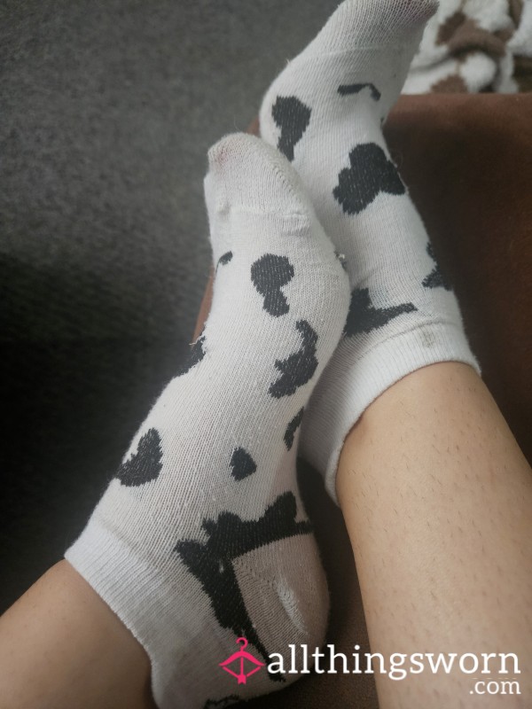 Trainer Socks With 24 Hour Wear