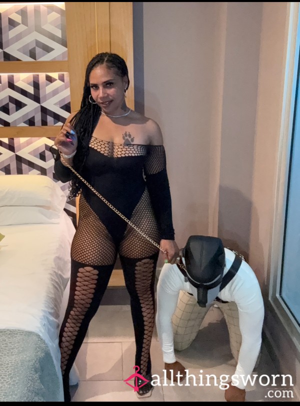⸻  🐾 Training For Disobedient Pets 🐾 Obedience Isn’t Optional. It’s Expected.
