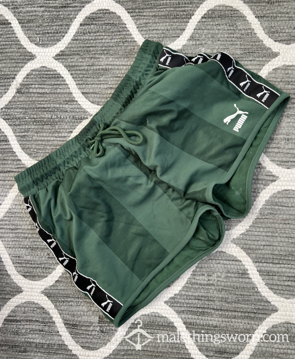Training Shorts - Puma Green