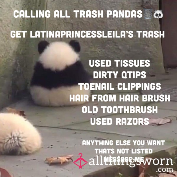 Trash Pandas Treasures
