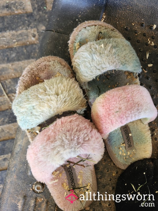 Trashed Daily Slippers