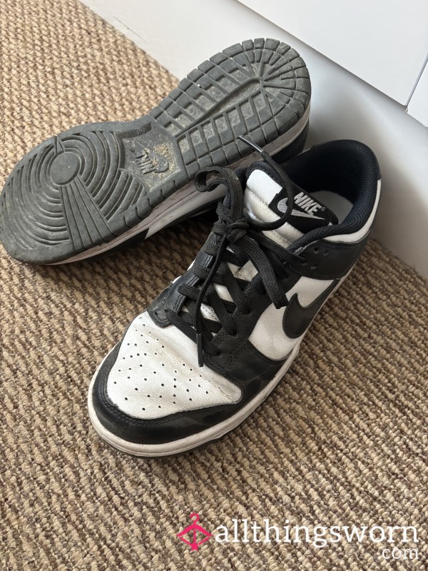 Trashed Nike Dunks 🐼