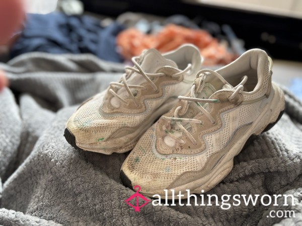 Trashed Trainers