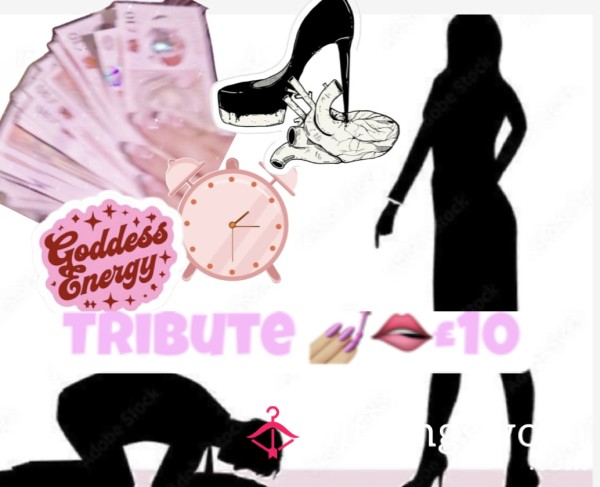 TRIBUTE 🙇🏼‍♂️🤏🏻🫴🏼💷👑