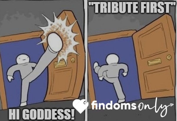 Tribute