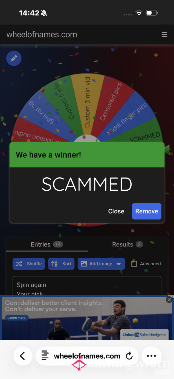 TRIBUTE SPIN WHEEL