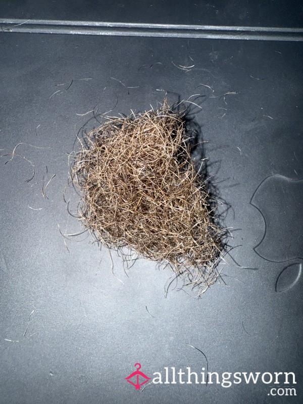 Trimmed Pubic Hair 💦