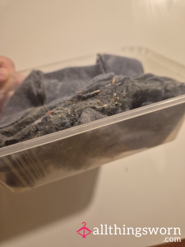 Tumble Drier Lint
