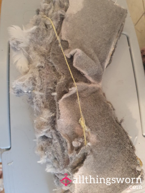 Tumble Dryer Lint