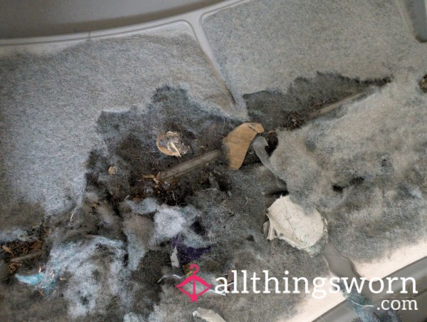 Tumble Dryer Lint P**ling, Nice And Thick! 😜