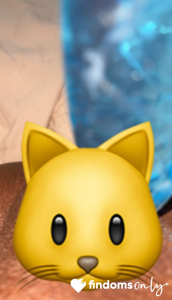 🐱 💦 - Turn The Volume Up 🔊