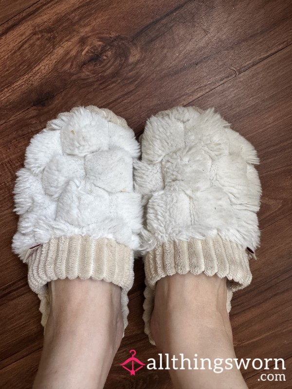 Two Years Well Worn And Never Washed Slippers