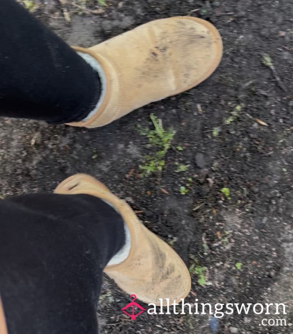Ugg Boots In Mud