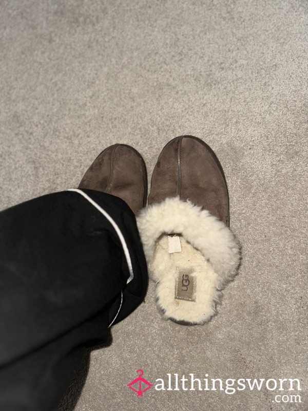 Ugg Slippers