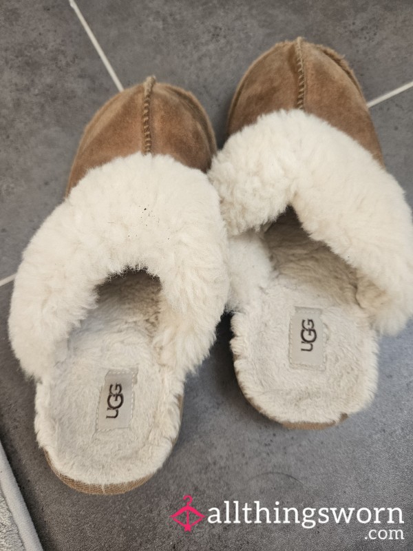 Ugg Slippers