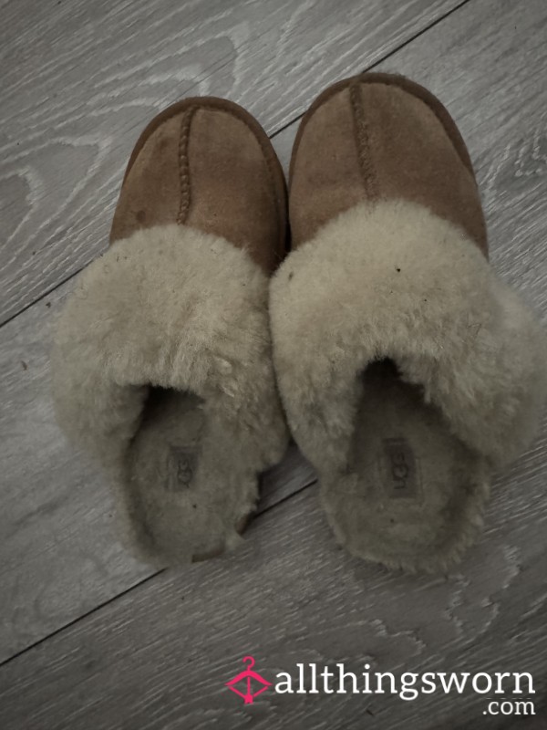 Ugg Slippers