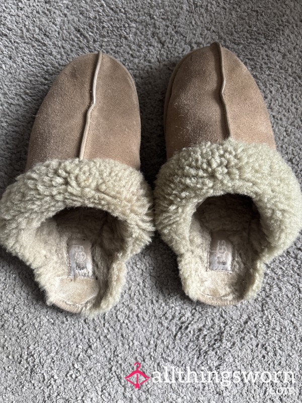 Ugg Slippers