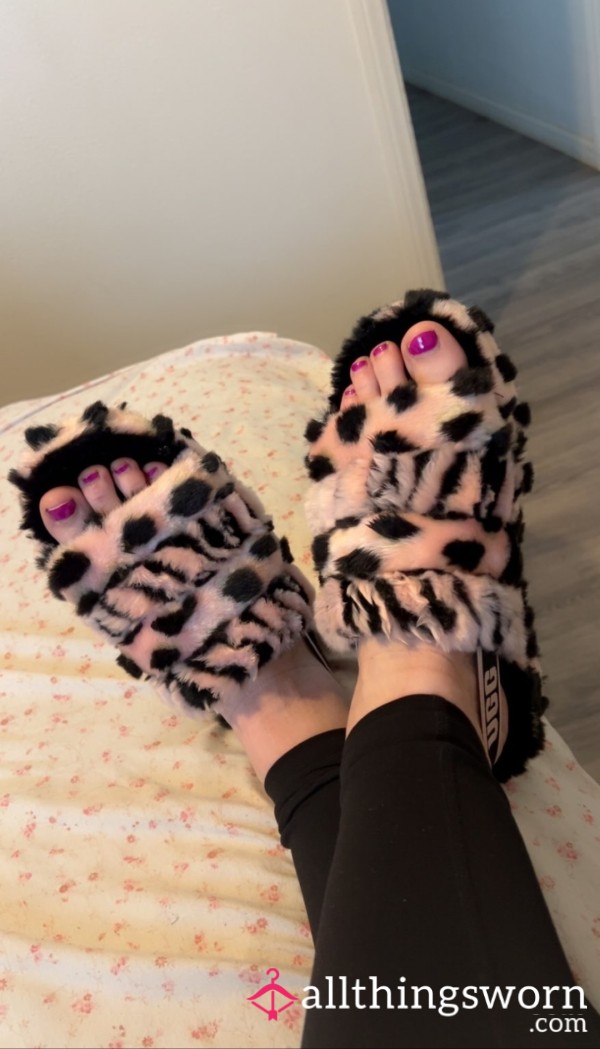 UGG Slippers