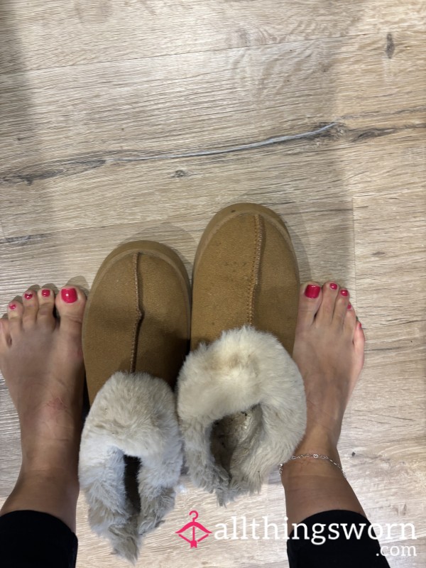 UGG Style Slippers