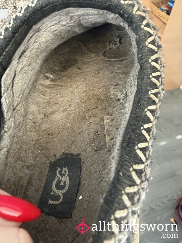Ugg Tasman