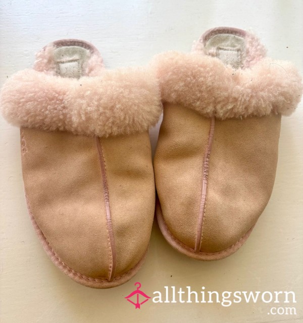 Uggs Slippers