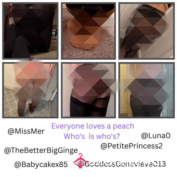Ultimate Nylon & B*m Worship Game 🍑 6 S**y Sellers 😈 Who's Pictures Match? 🎲