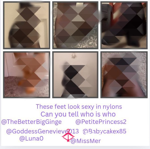 Ultimate Nylon Worship Game 🍑 6 S**y Sellers 😈 Who's Pictures Match? 🎲