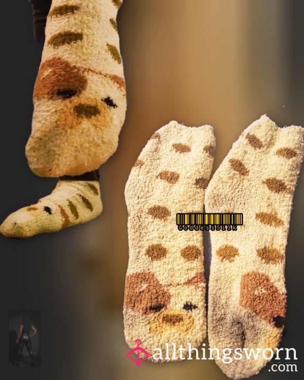 Ultra-Soft & Well-Worn Cute Puppy  Socks 🐾 72 Hr Wear