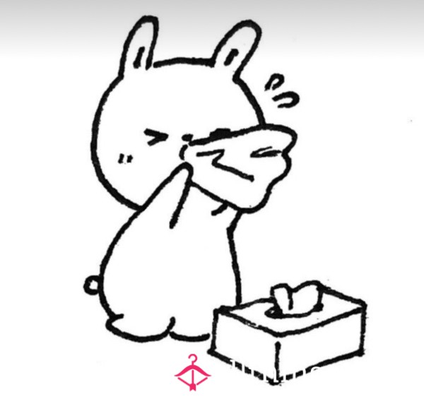Unfiltered Sneezes — Cute, Real, And Oddly Satisfying 🤧