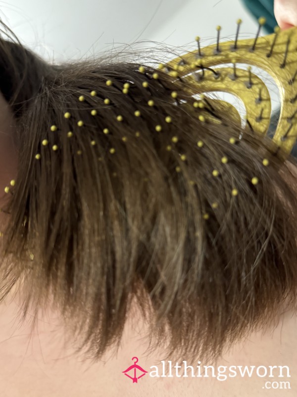 Unwashed Brushed Hair