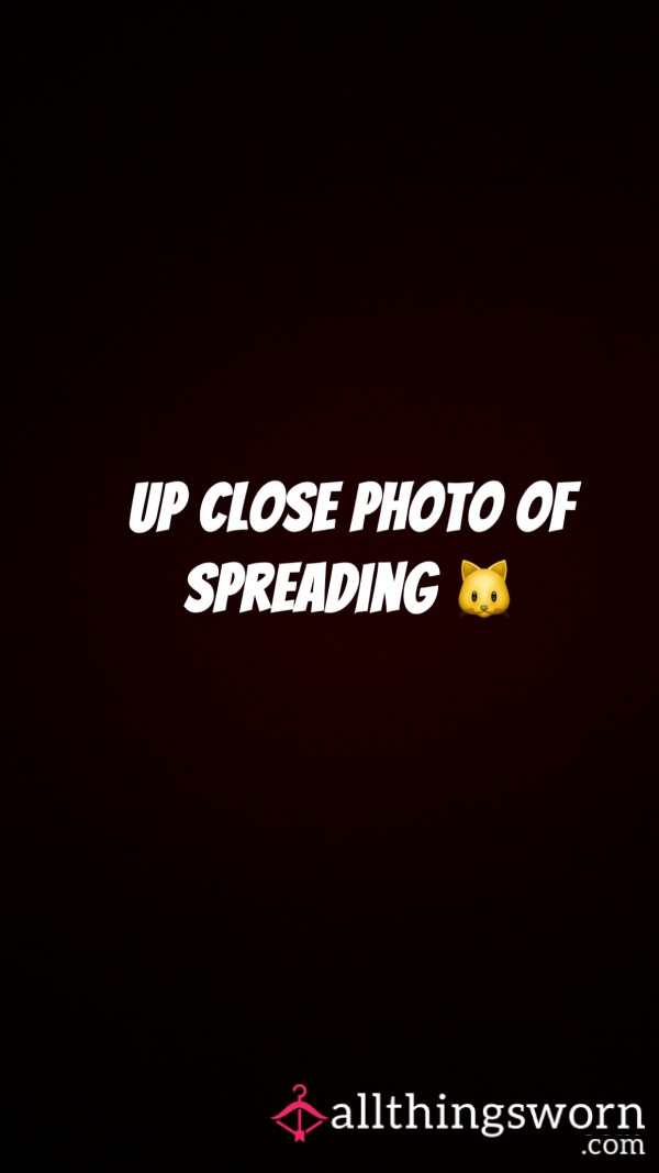 Up Close And Spreading 🐱