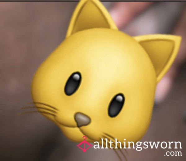 Up, Close & Personal 🐱💦