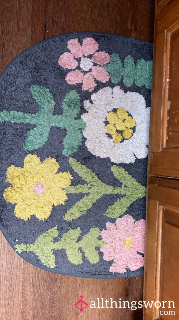 Used 4 Year Old Floor Mat