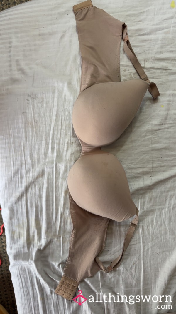 Used And Abused VS Push Up Bra