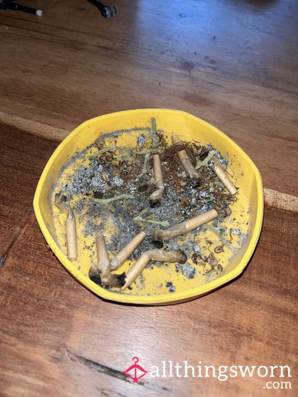 Used Ashtray – Full Of Spliff Ends & Dirty Desires 🚬